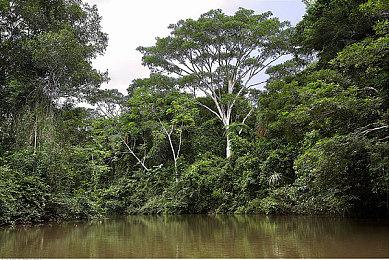 微软或将删除Xbox玩家直接分享游戏视频到推特的功能